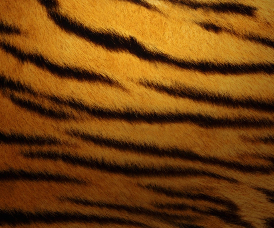 Tiger Skin wallpaper 960x800