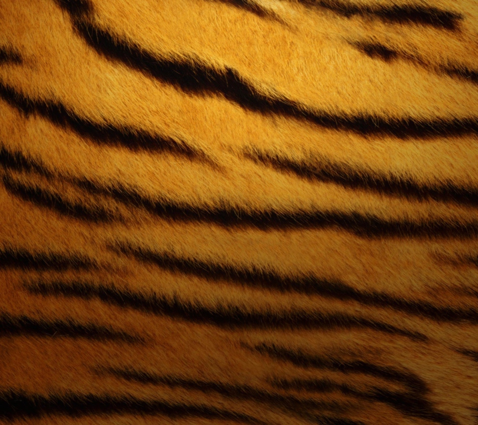 Sfondi Tiger Skin 960x854