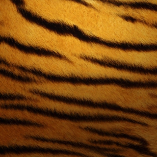 Kostenloses Tiger Skin Wallpaper für iPad mini 2
