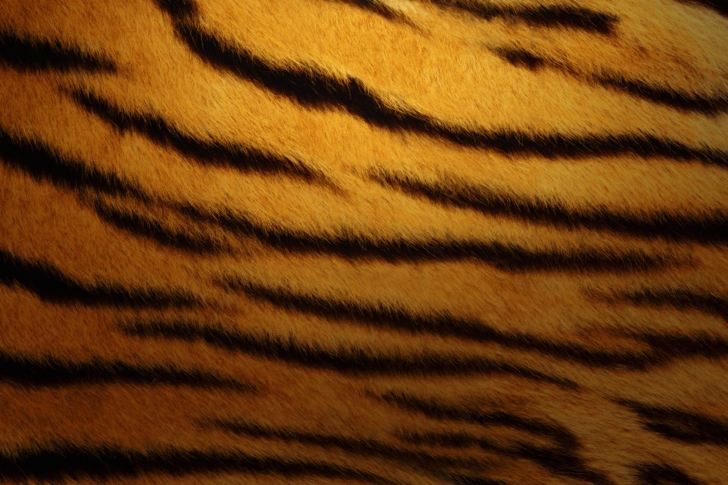 Fondo de pantalla Tiger Skin