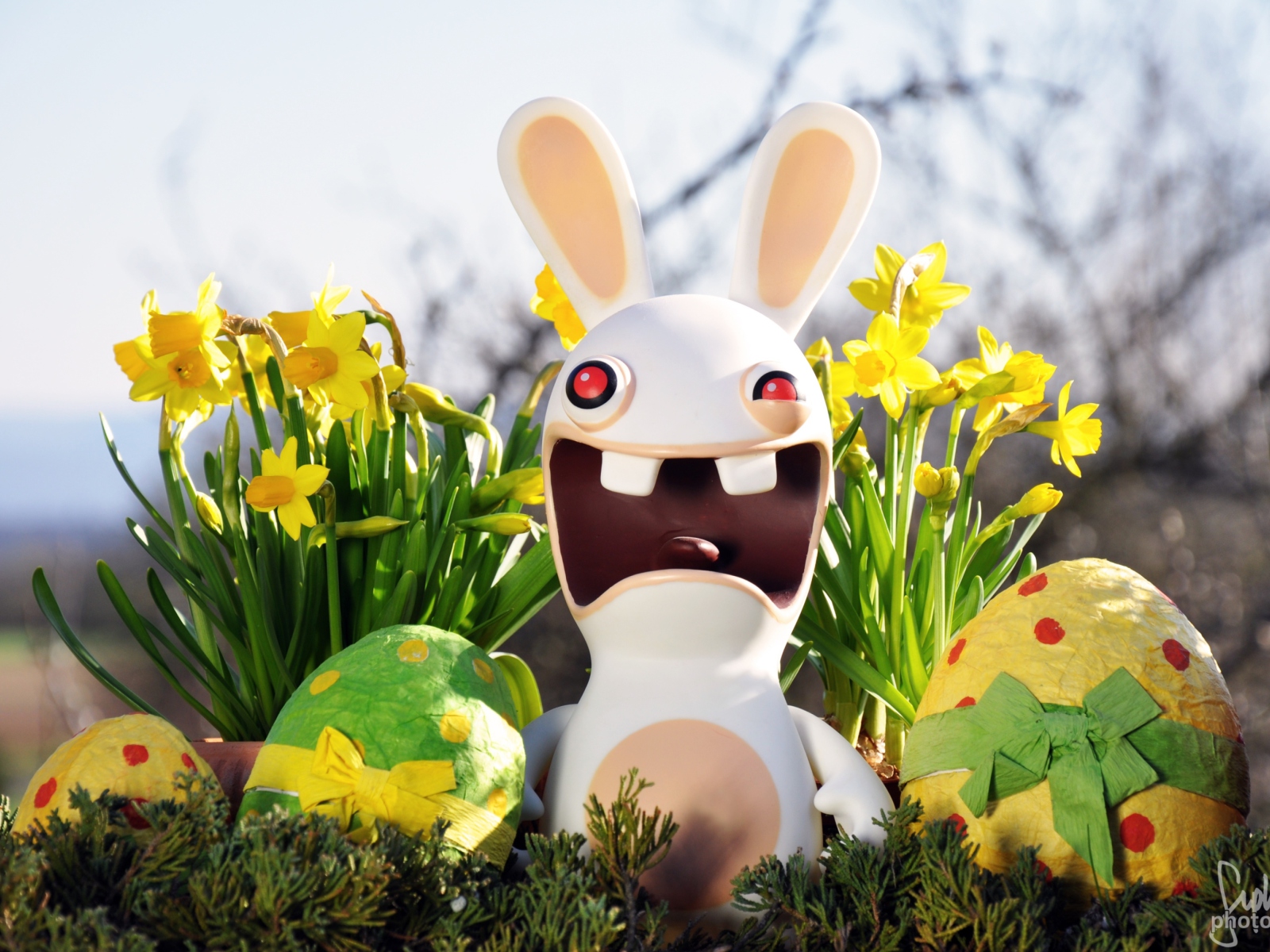 Funny Ugly Easter Bunny wallpaper 1600x1200