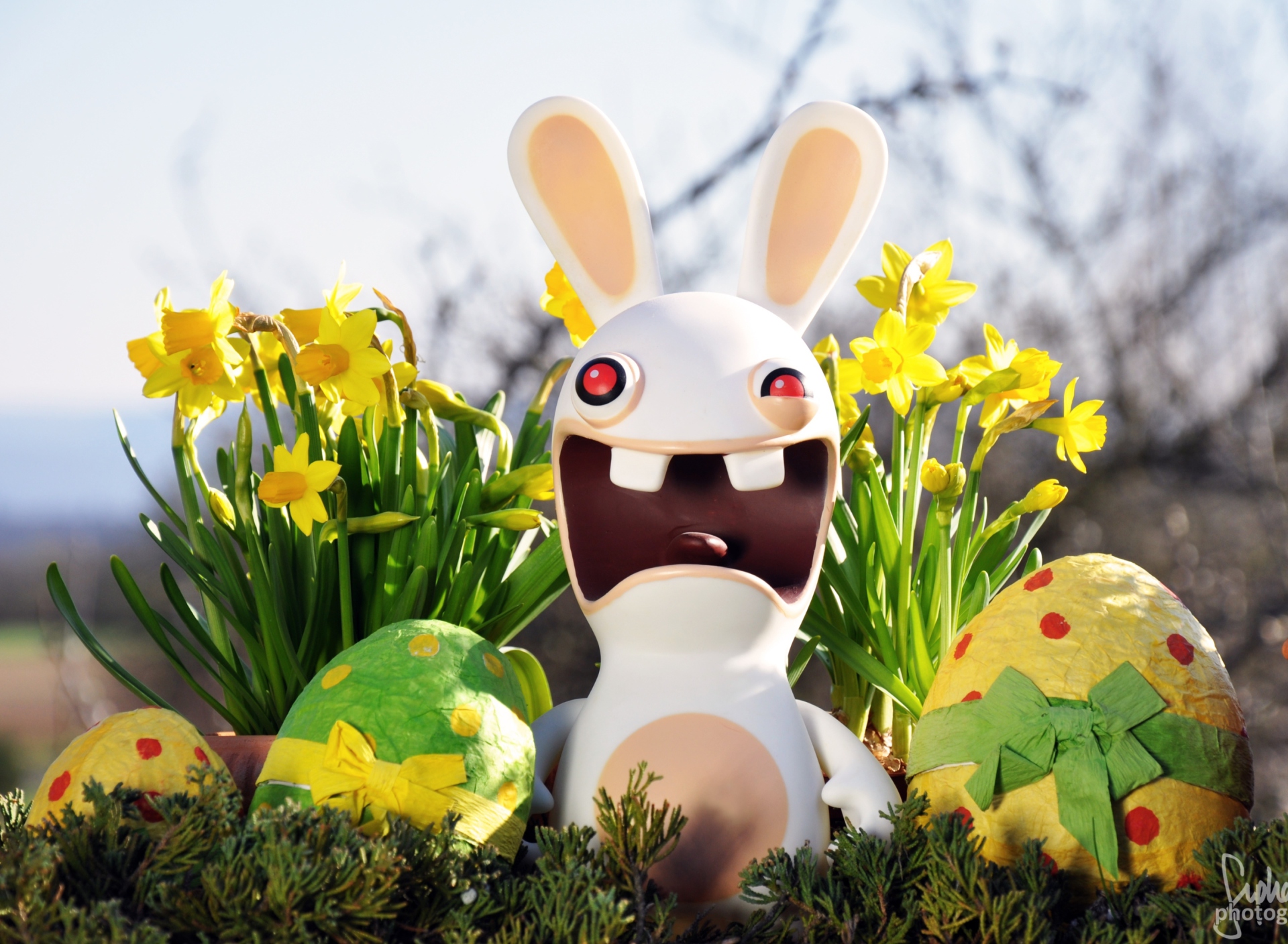 Das Funny Ugly Easter Bunny Wallpaper 1920x1408