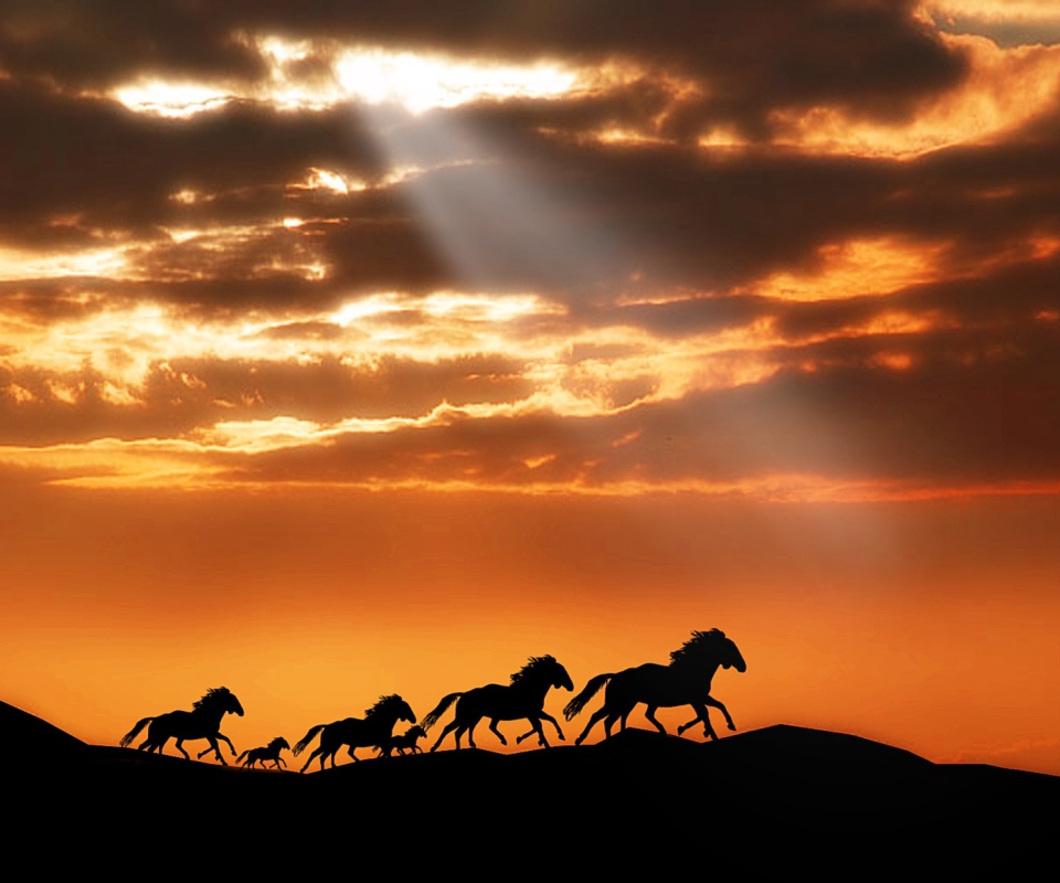 Das Horses Running Free Wallpaper 960x800