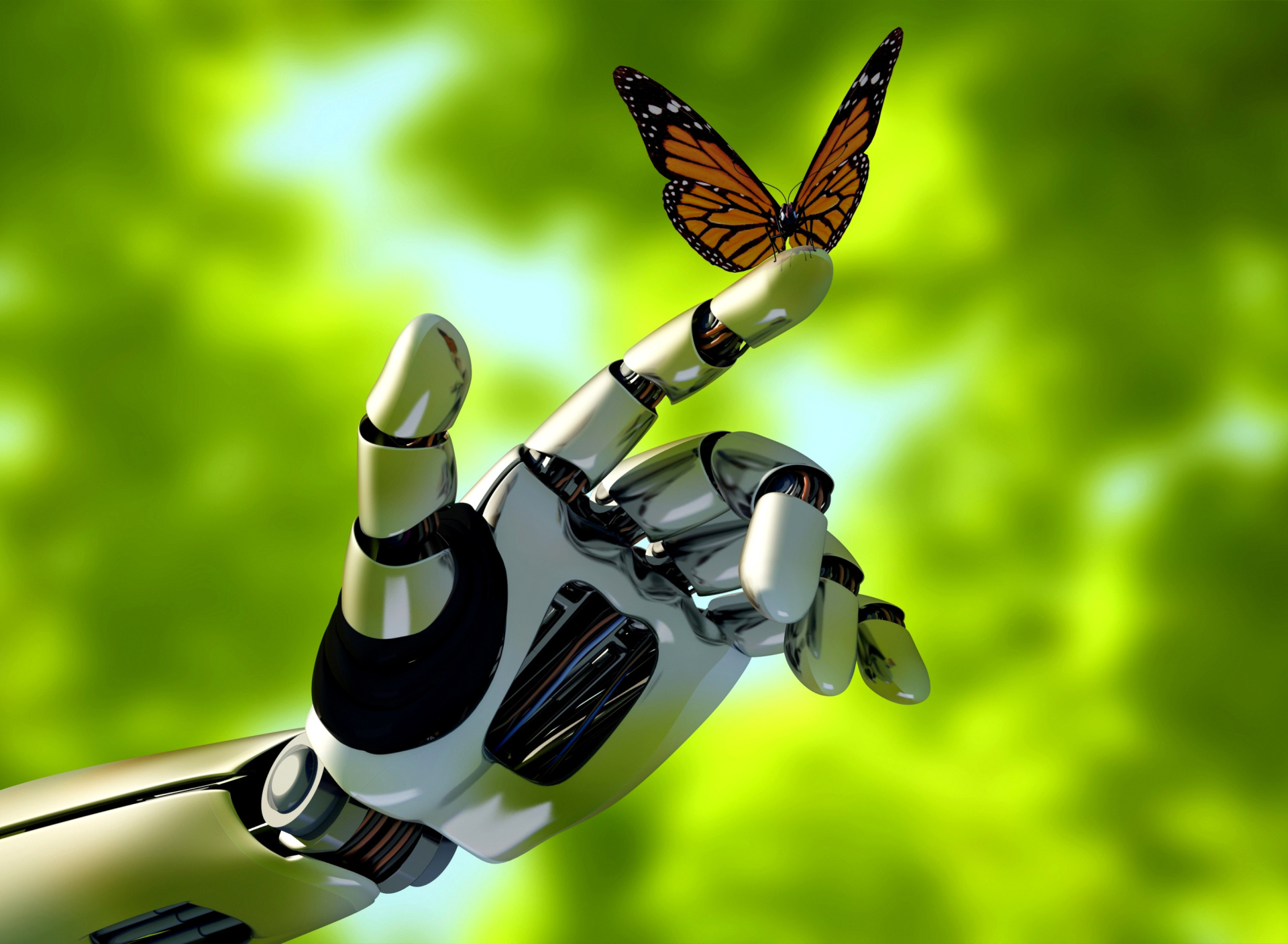 Обои Robot hand and butterfly 1920x1408