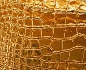 Fondo de pantalla Golden Crocodile Leather 176x144