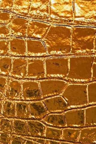 Sfondi Golden Crocodile Leather 320x480