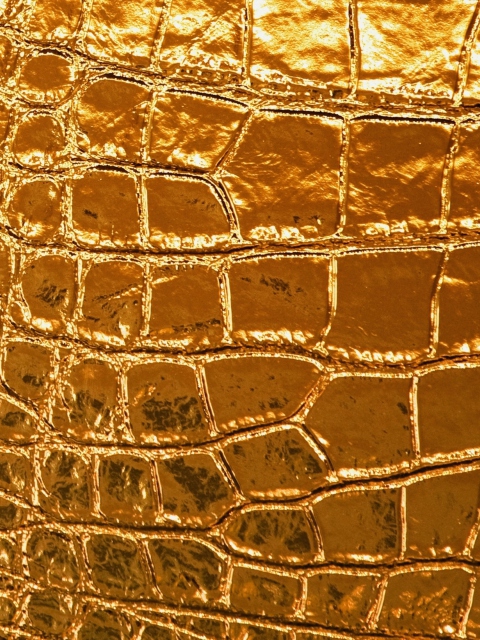 Golden Crocodile Leather wallpaper 480x640
