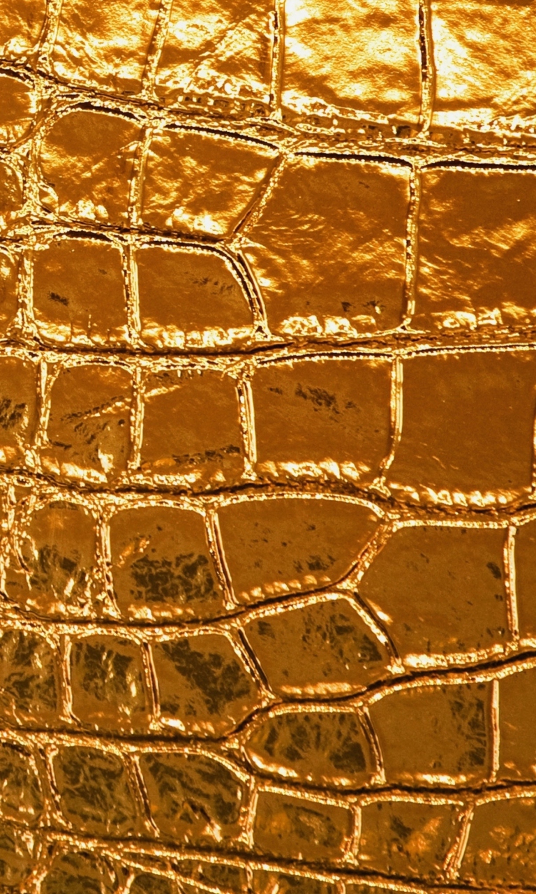 Fondo de pantalla Golden Crocodile Leather 768x1280