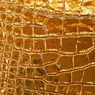 Kostenloses Golden Crocodile Leather Wallpaper für 2048x2048