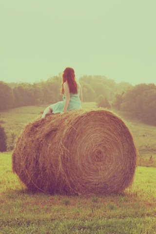 Girl In Field wallpaper 320x480