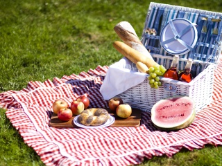 Summer Picnic screenshot #1 320x240