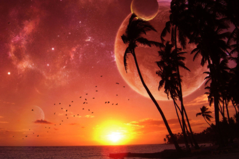 Sunset Time wallpaper 480x320