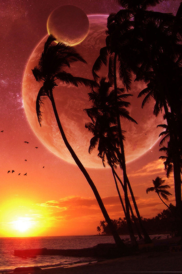 Sunset Time wallpaper 640x960