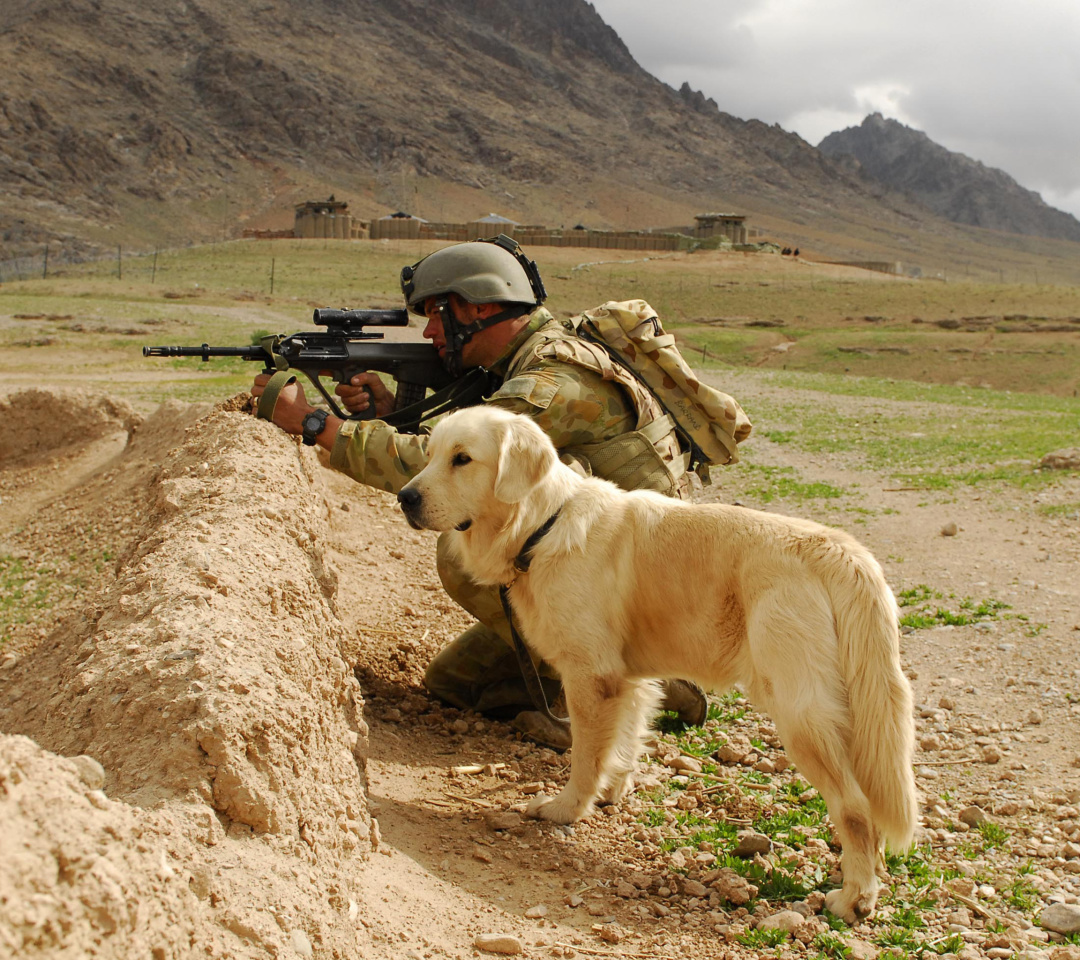 Das Soldier With Dog Wallpaper 1080x960