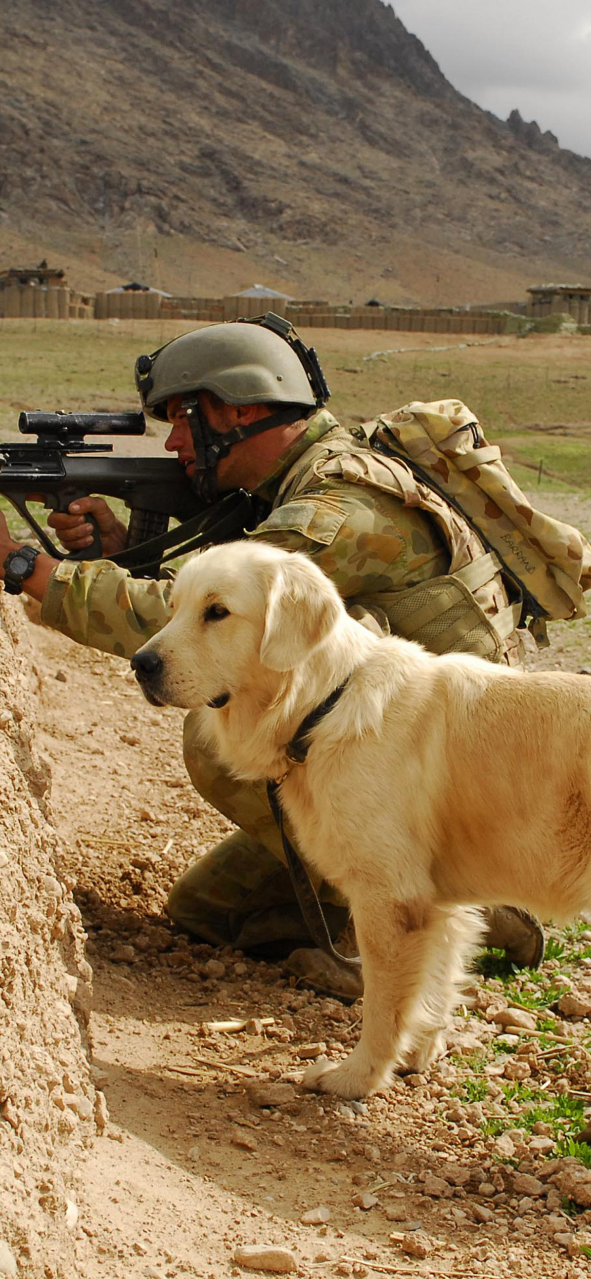 Das Soldier With Dog Wallpaper 1170x2532