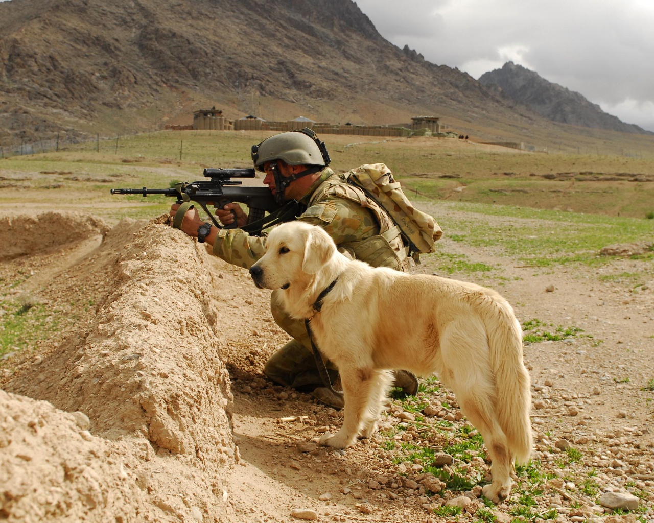Обои Soldier With Dog 1280x1024