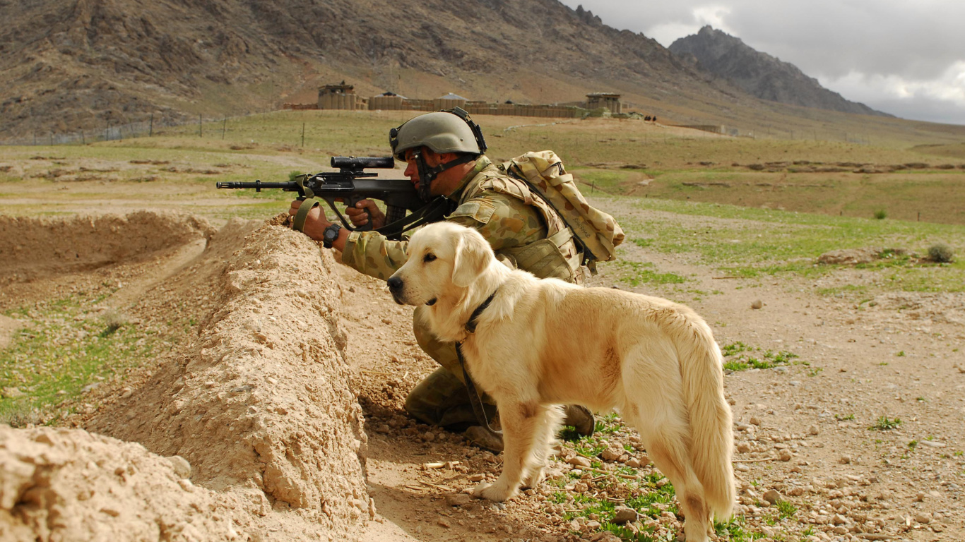 Soldier With Dog wallpaper 1366x768