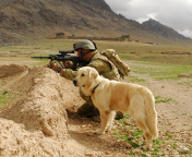 Das Soldier With Dog Wallpaper 176x144