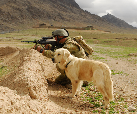 Das Soldier With Dog Wallpaper 480x400