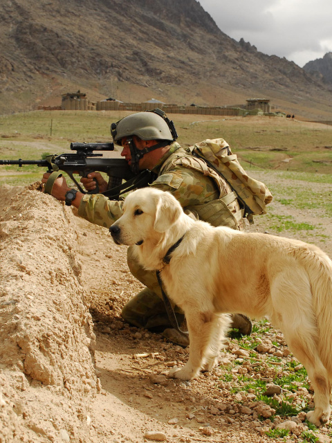 Обои Soldier With Dog 480x640