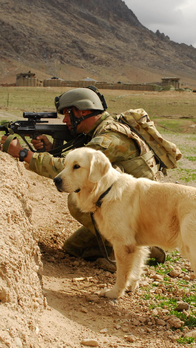 Soldier With Dog wallpaper 640x1136