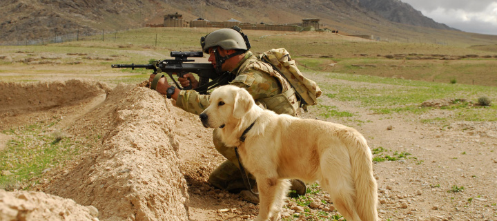 Обои Soldier With Dog 720x320