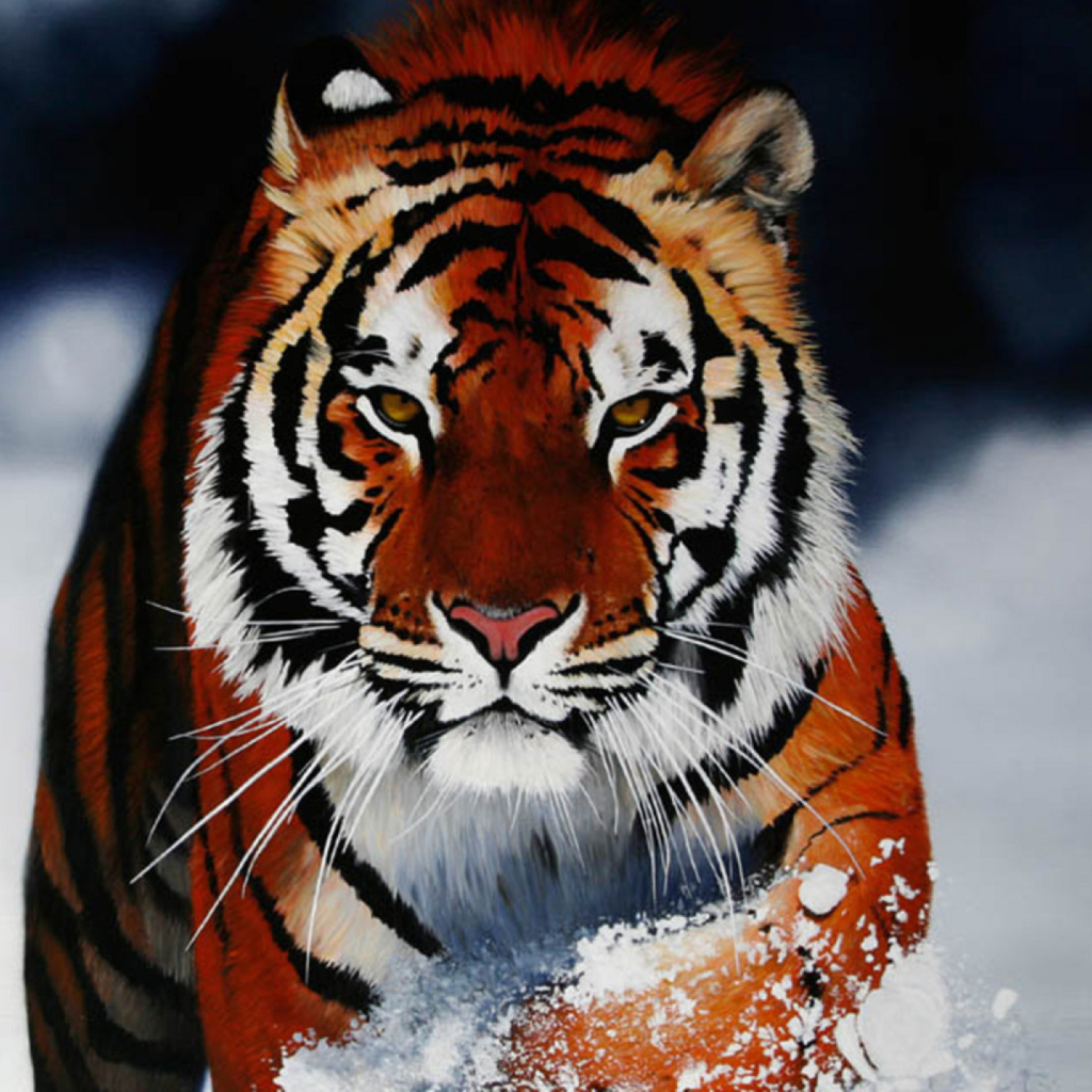 Fondo de pantalla Cute Tiger 1024x1024