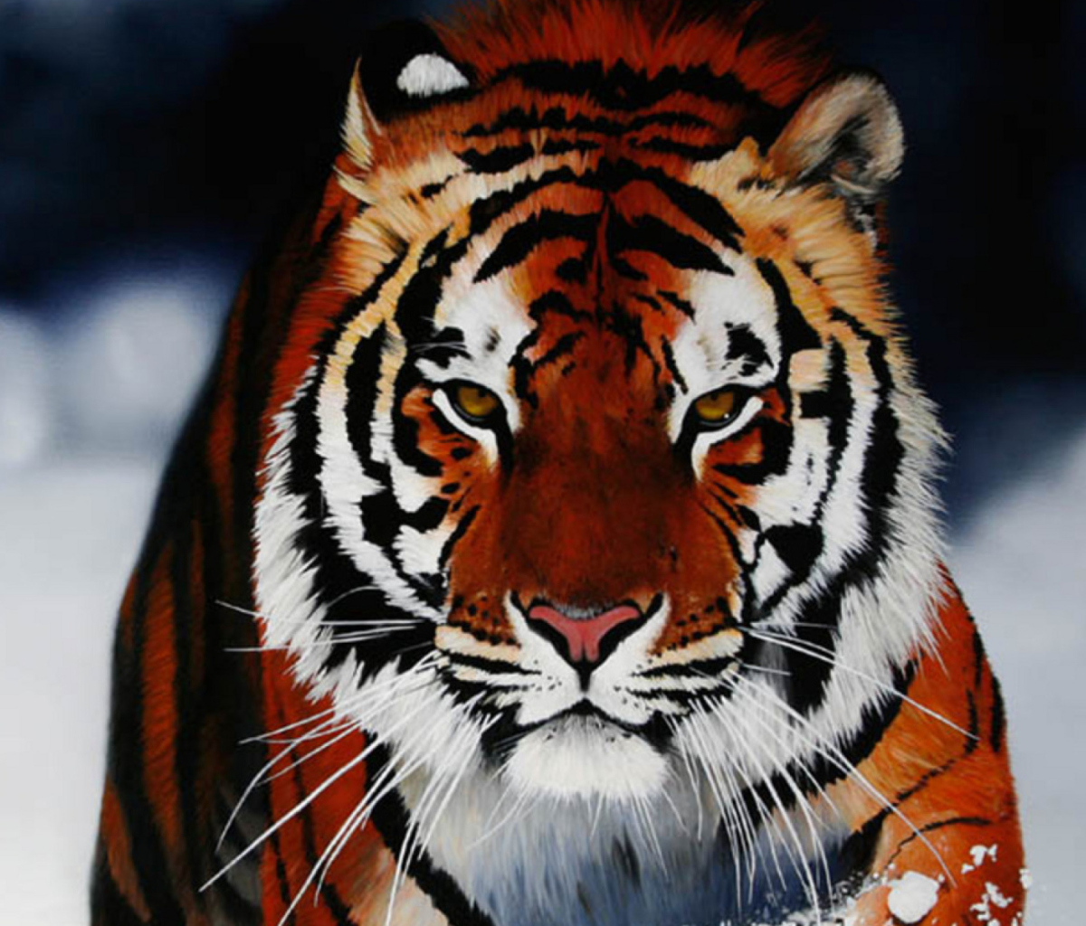 Das Cute Tiger Wallpaper 1200x1024