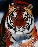 Cute Tiger wallpaper 128x160