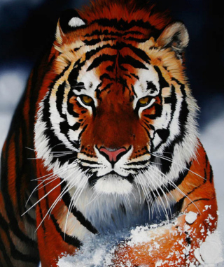 Kostenloses Cute Tiger Wallpaper für HP IPAQ HX4700