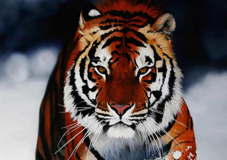 Cute Tiger wallpaper