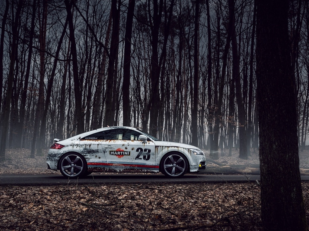 Das Audi TT Rally Wallpaper 1024x768
