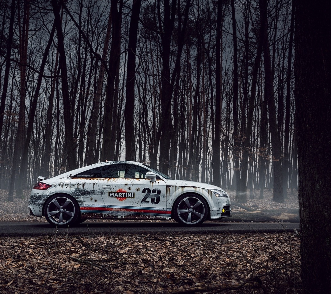 Fondo de pantalla Audi TT Rally 1080x960