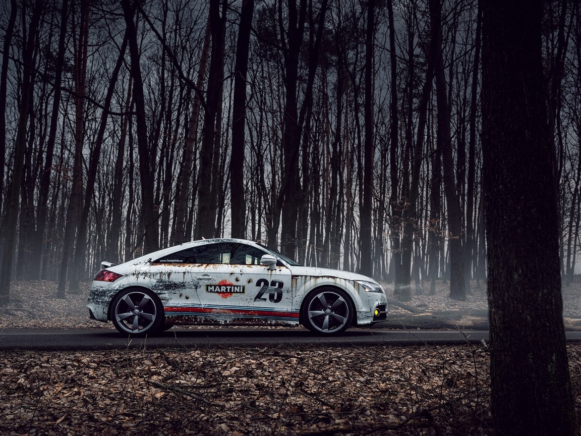 Fondo de pantalla Audi TT Rally 1152x864