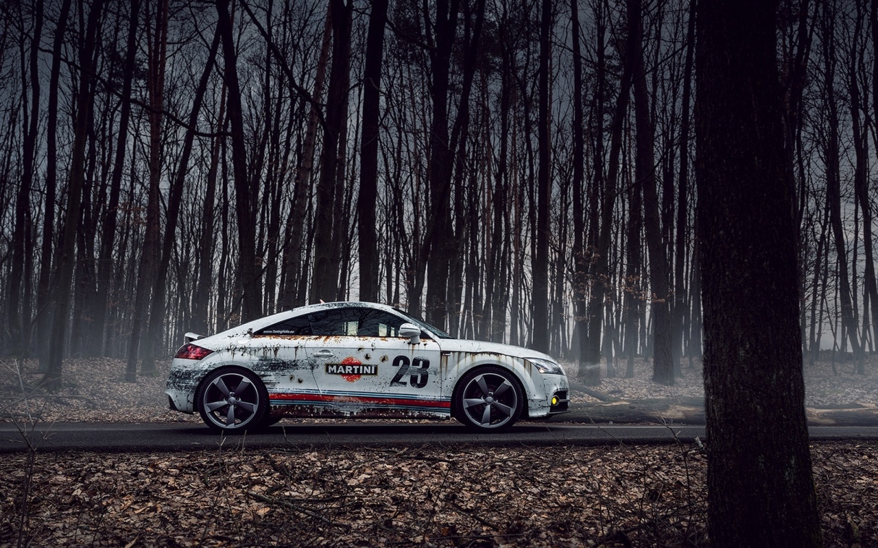 Audi TT Rally screenshot #1 1280x800