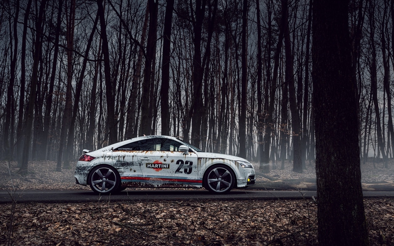 Sfondi Audi TT Rally 1280x800