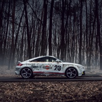 Sfondi Audi TT Rally 208x208