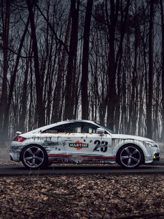 Audi TT Rally wallpaper 240x320