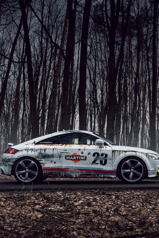 Audi TT Rally wallpaper 320x480