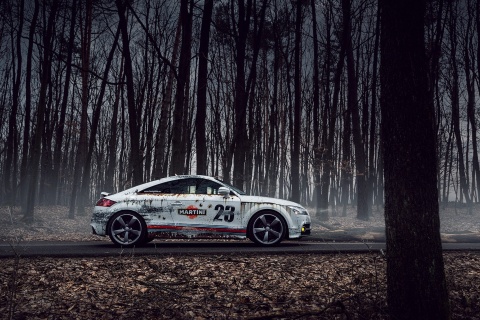 Fondo de pantalla Audi TT Rally 480x320
