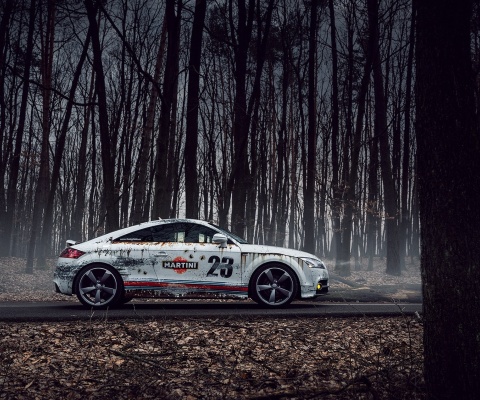 Fondo de pantalla Audi TT Rally 480x400