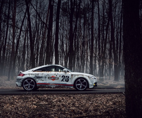 Das Audi TT Rally Wallpaper 480x400