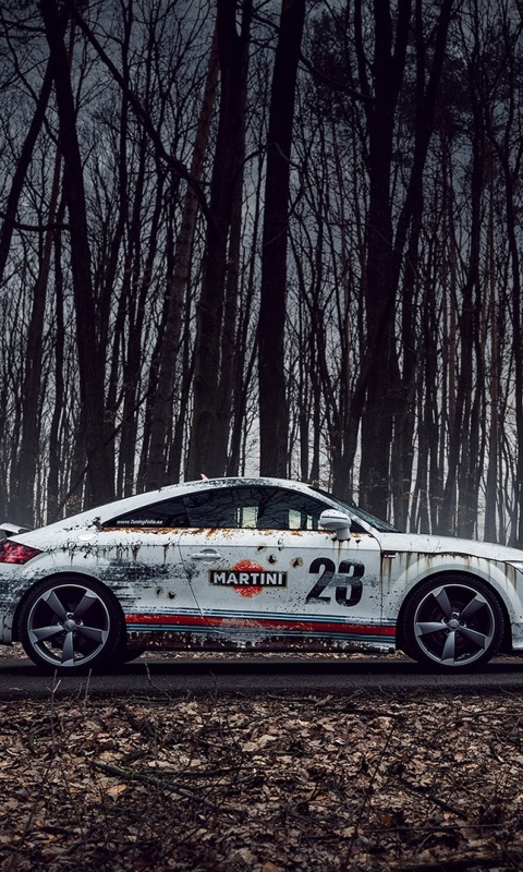 Das Audi TT Rally Wallpaper 480x800