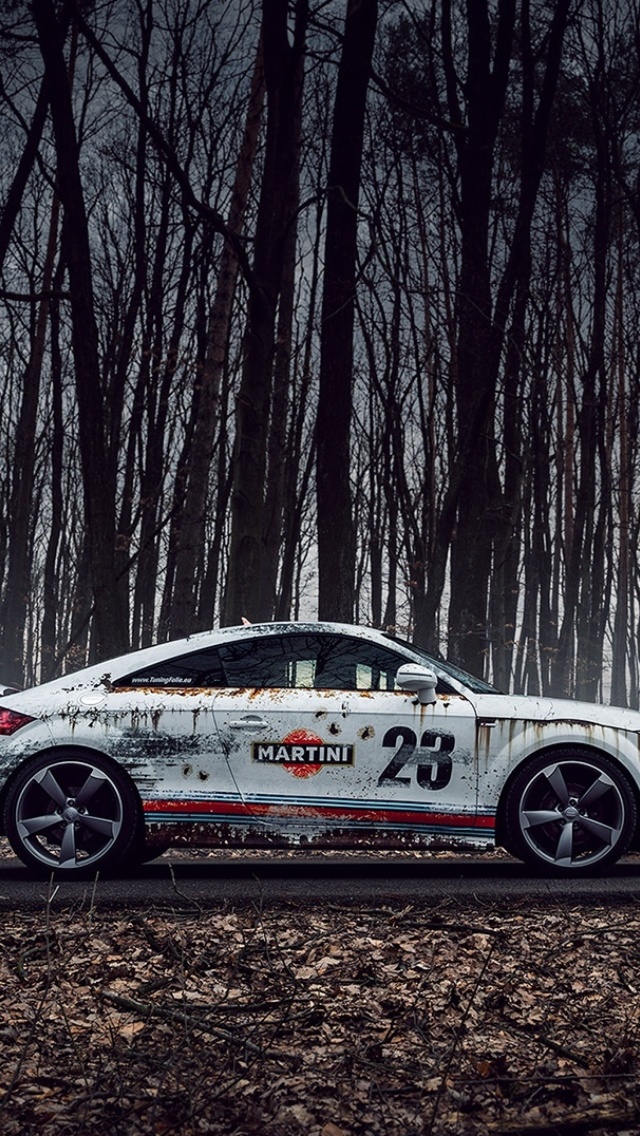 Audi TT Rally wallpaper 640x1136