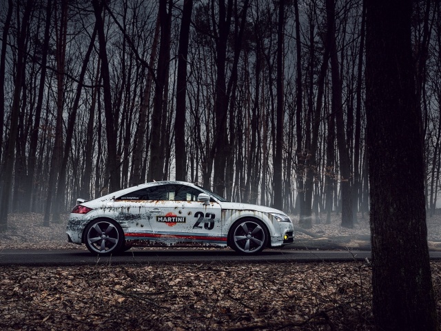 Audi TT Rally wallpaper 640x480