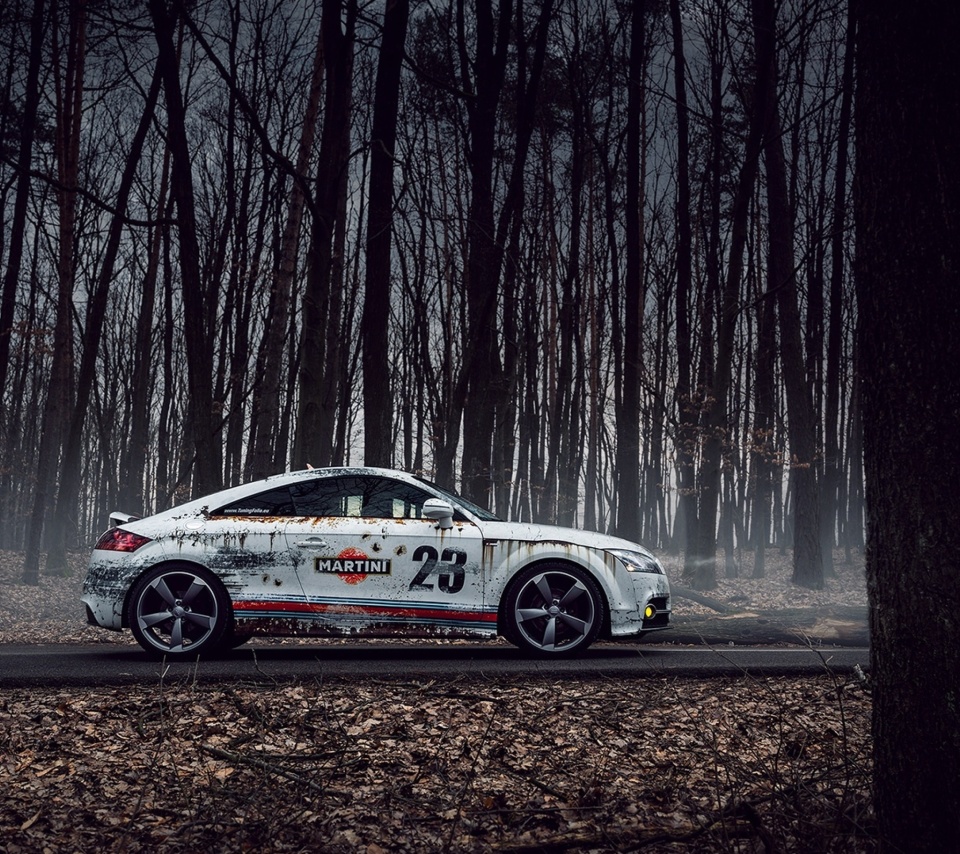 Fondo de pantalla Audi TT Rally 960x854