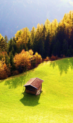 Lonely House On Hill wallpaper 240x400