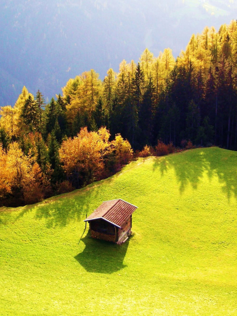 Lonely House On Hill wallpaper 480x640
