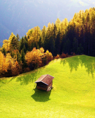 Kostenloses Lonely House On Hill Wallpaper für LG A155