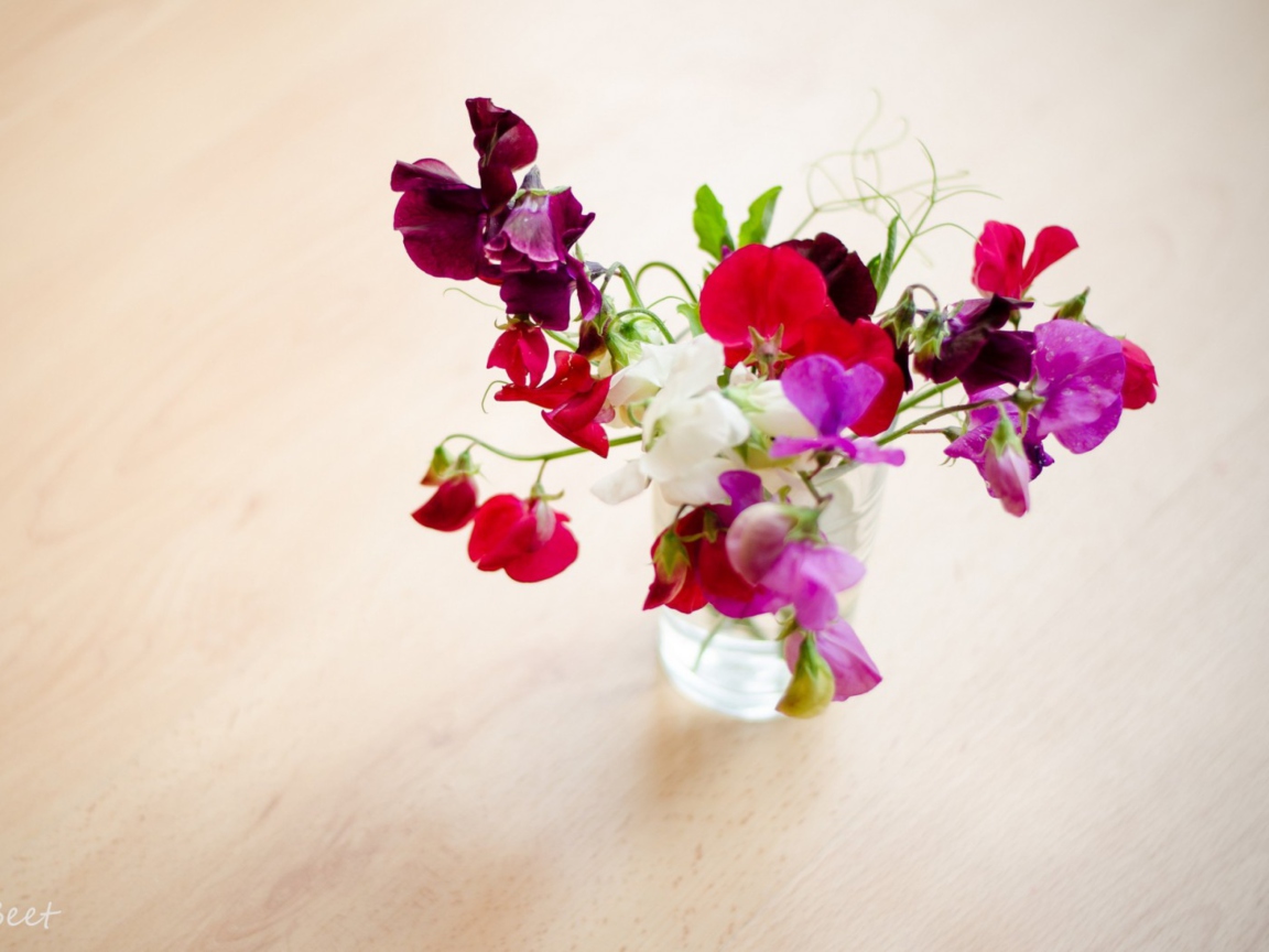 Das Bright Flowers On Table Wallpaper 1152x864